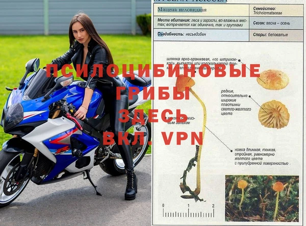 марки nbome Абдулино